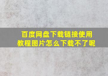 百度网盘下载链接使用教程图片怎么下载不了呢