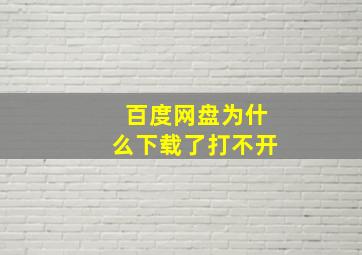 百度网盘为什么下载了打不开