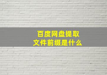 百度网盘提取文件前缀是什么