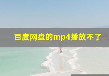 百度网盘的mp4播放不了