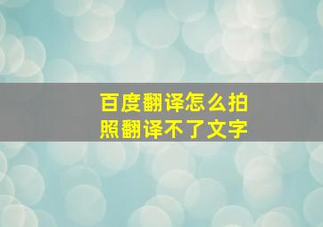 百度翻译怎么拍照翻译不了文字