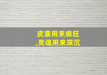 皮囊用来癫狂,灵魂用来深沉