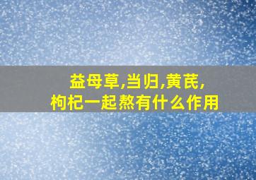 益母草,当归,黄芪,枸杞一起熬有什么作用