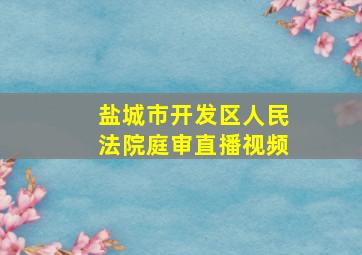 盐城市开发区人民法院庭审直播视频