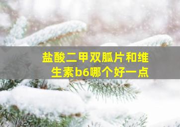 盐酸二甲双胍片和维生素b6哪个好一点