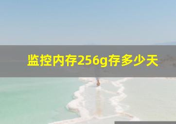 监控内存256g存多少天