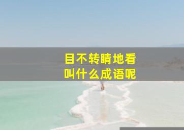 目不转睛地看叫什么成语呢