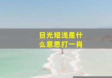 目光短浅是什么意思打一肖