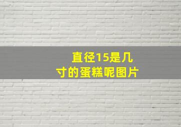 直径15是几寸的蛋糕呢图片