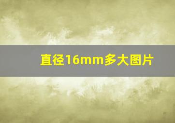 直径16mm多大图片