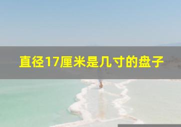 直径17厘米是几寸的盘子