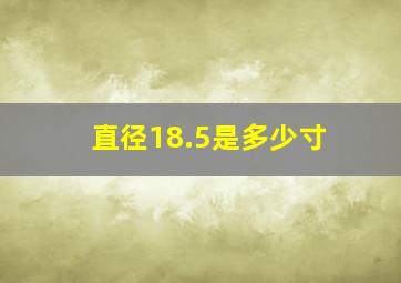 直径18.5是多少寸