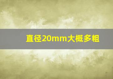 直径20mm大概多粗