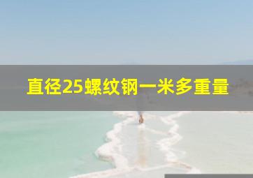 直径25螺纹钢一米多重量