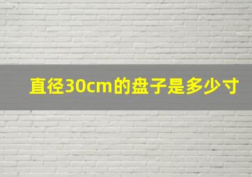 直径30cm的盘子是多少寸