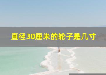 直径30厘米的轮子是几寸