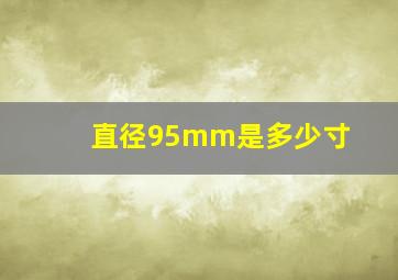 直径95mm是多少寸