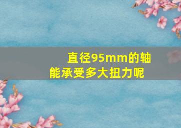 直径95mm的轴能承受多大扭力呢