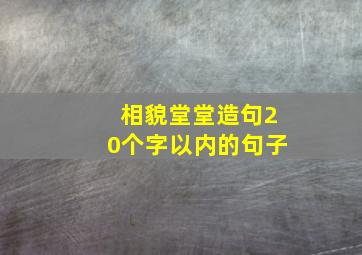 相貌堂堂造句20个字以内的句子