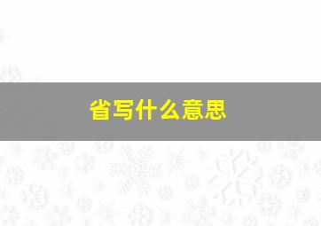 省写什么意思