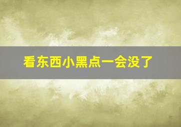 看东西小黑点一会没了