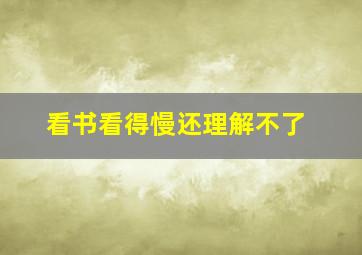 看书看得慢还理解不了