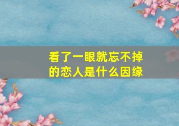 看了一眼就忘不掉的恋人是什么因缘