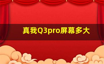 真我Q3pro屏幕多大