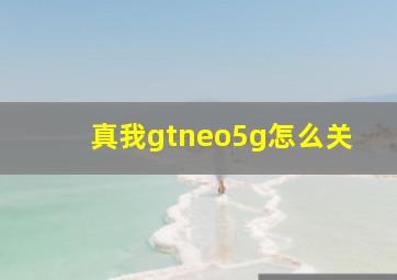 真我gtneo5g怎么关