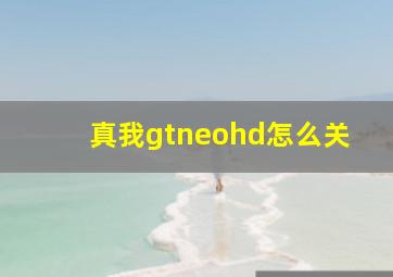 真我gtneohd怎么关