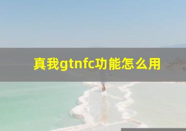 真我gtnfc功能怎么用