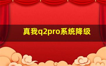 真我q2pro系统降级