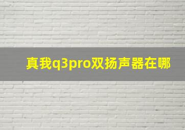 真我q3pro双扬声器在哪