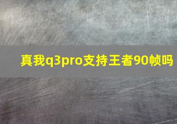 真我q3pro支持王者90帧吗