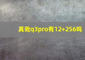 真我q3pro有12+256吗