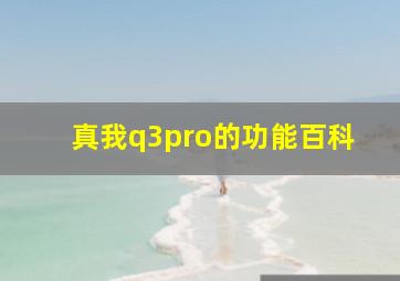 真我q3pro的功能百科