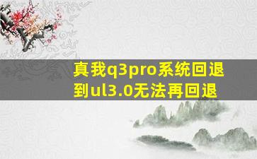 真我q3pro系统回退到ul3.0无法再回退