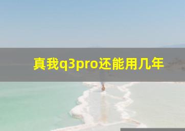 真我q3pro还能用几年