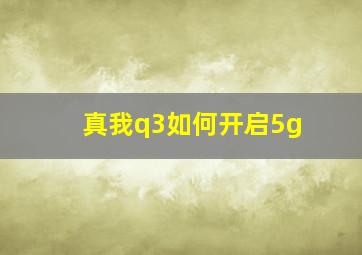 真我q3如何开启5g