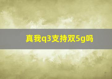 真我q3支持双5g吗