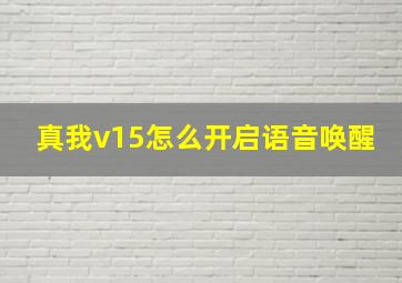 真我v15怎么开启语音唤醒