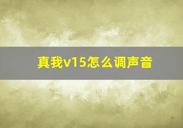 真我v15怎么调声音