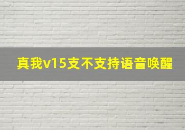 真我v15支不支持语音唤醒