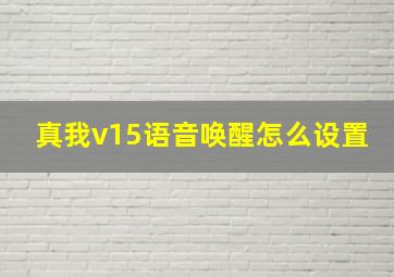 真我v15语音唤醒怎么设置