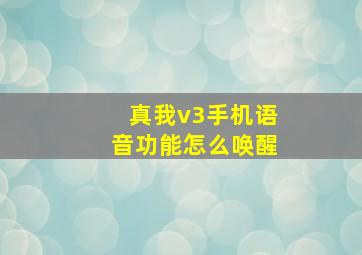 真我v3手机语音功能怎么唤醒