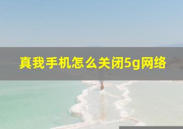 真我手机怎么关闭5g网络