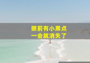 眼前有小黑点一会就消失了