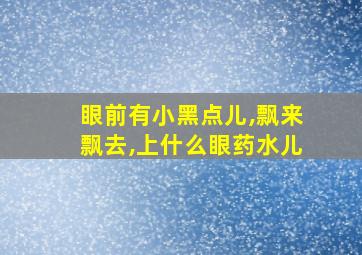 眼前有小黑点儿,飘来飘去,上什么眼药水儿