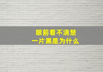 眼前看不清楚一片黑是为什么