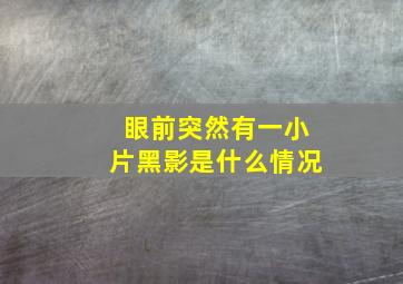 眼前突然有一小片黑影是什么情况